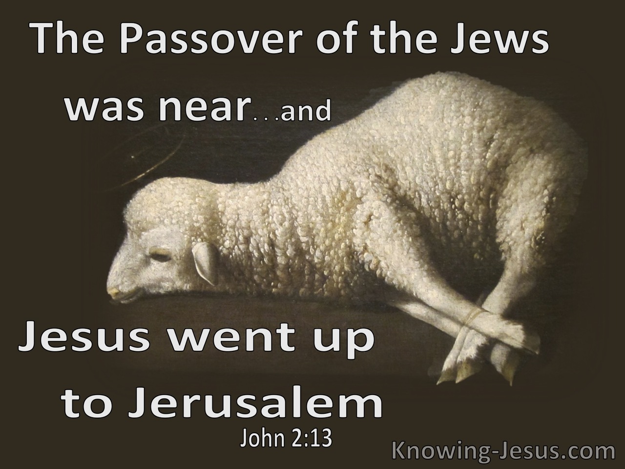 John 2:13 Passover Was Near Jesus Went To Jerusalem (brown)